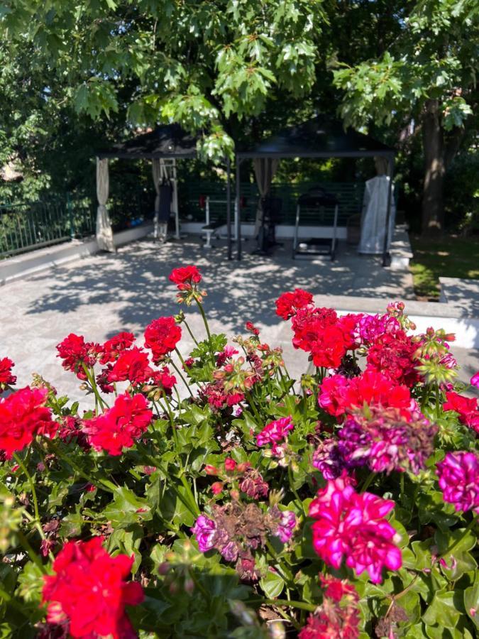 Villa Albina Рим Экстерьер фото